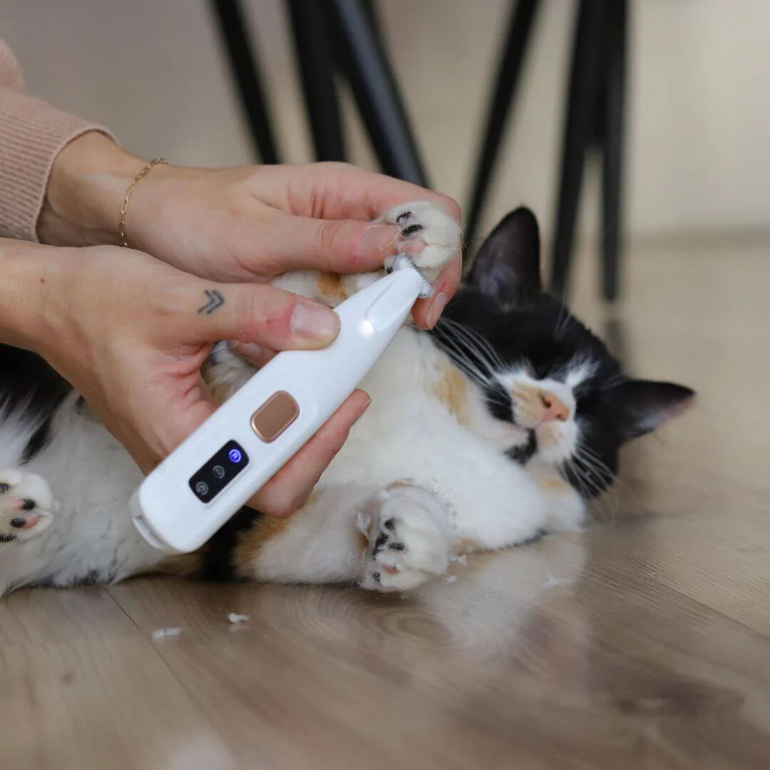 PetSmart™ - Pati Tıraş Makinesi